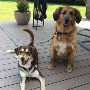 Meet your Posher, Lisa